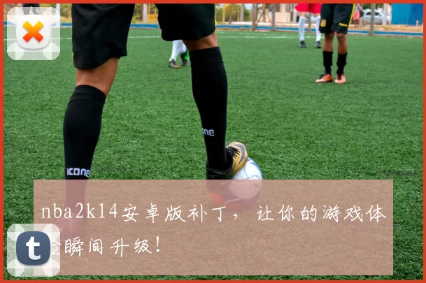 nba2k14安卓版补丁，让你的游戏体验瞬间升级！