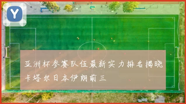亚洲杯参赛队伍最新实力排名揭晓卡塔尔日本伊朗前三