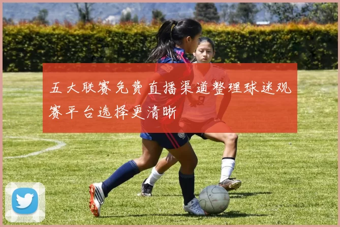 五大联赛免费直播渠道整理球迷观赛平台选择更清晰