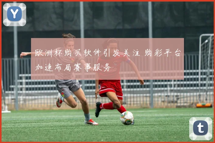 欧洲杯购买软件引发关注 购彩平台加速布局赛事服务